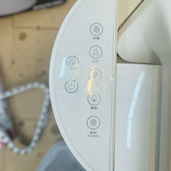 DOMELUXY 3 IN 1 garment steamer